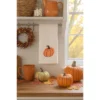C&F Home Pumpkin French Knot Cotton Flour Sack Kitchen Dishtowel -C&F Home GUEST 04f75cb1 2148 4631 95d6 a413a1142d7e
