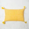 C&F Home Clyde Pillow -C&F Home GUEST 1077a7b0 4e26 4cc0 991f be8da63d0197