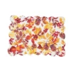 C&F Home Cordelia Falling Leaves 100% Cotton Quilted Rectangle Single Placemat 13" X 19" 2 C&F Home Cordelia Falling Leaves 100% Cotton Quilted Rectangle Single Placemat 13" X 19" -C&F Home GUEST 2e0c6bdc 437c 4854 a9c1 611a4af2e2cf